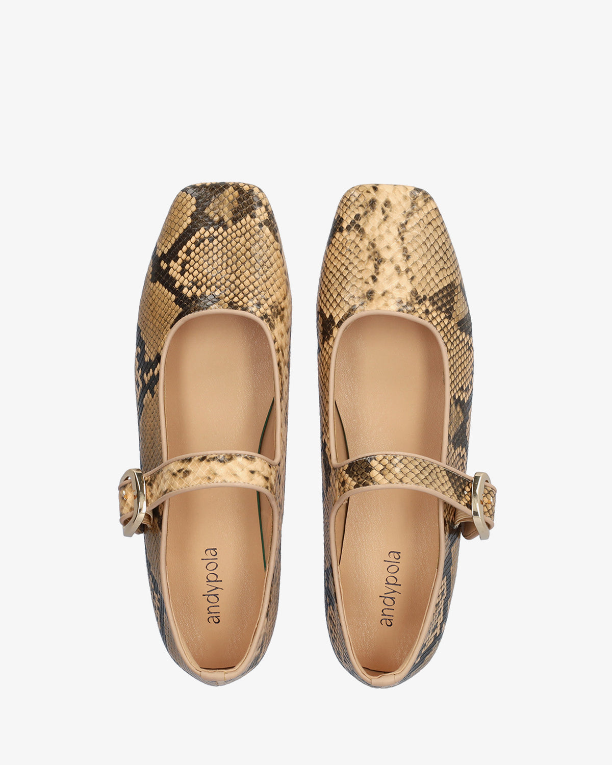 Flat Mary Jane Ballet Flats with snakeskin print 